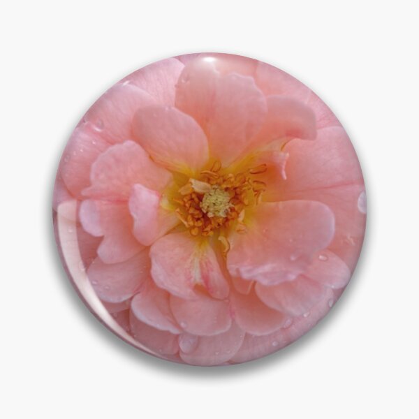 Item preview, Pink Rose with Raindrops by Mark Ewing designed and sold by LifeSpice.