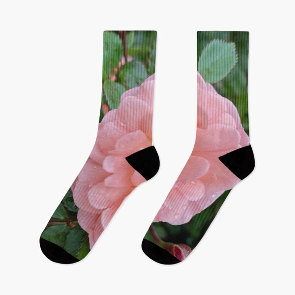 Item preview, Pink Rose with Raindrops by Mark Ewing designed and sold by LifeSpice.