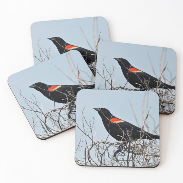 Item preview, Red Winged BlackBird designed and sold by Elisabeth Kasal.