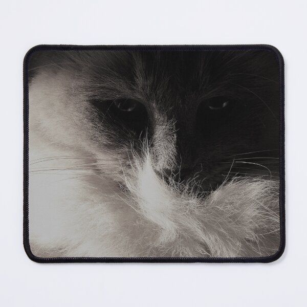 Item preview, catmospheric designed and sold by Floralynne.