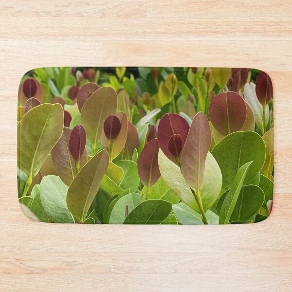 Item preview, Ft. Myers Florida by Mark Ewing designed and sold by LifeSpice.