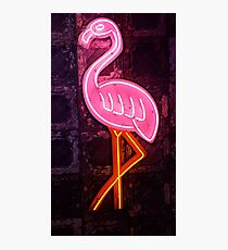 Neon Pink Flamingo Photographic Print