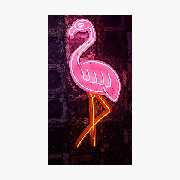 Neon Pink Flamingo Photographic Print