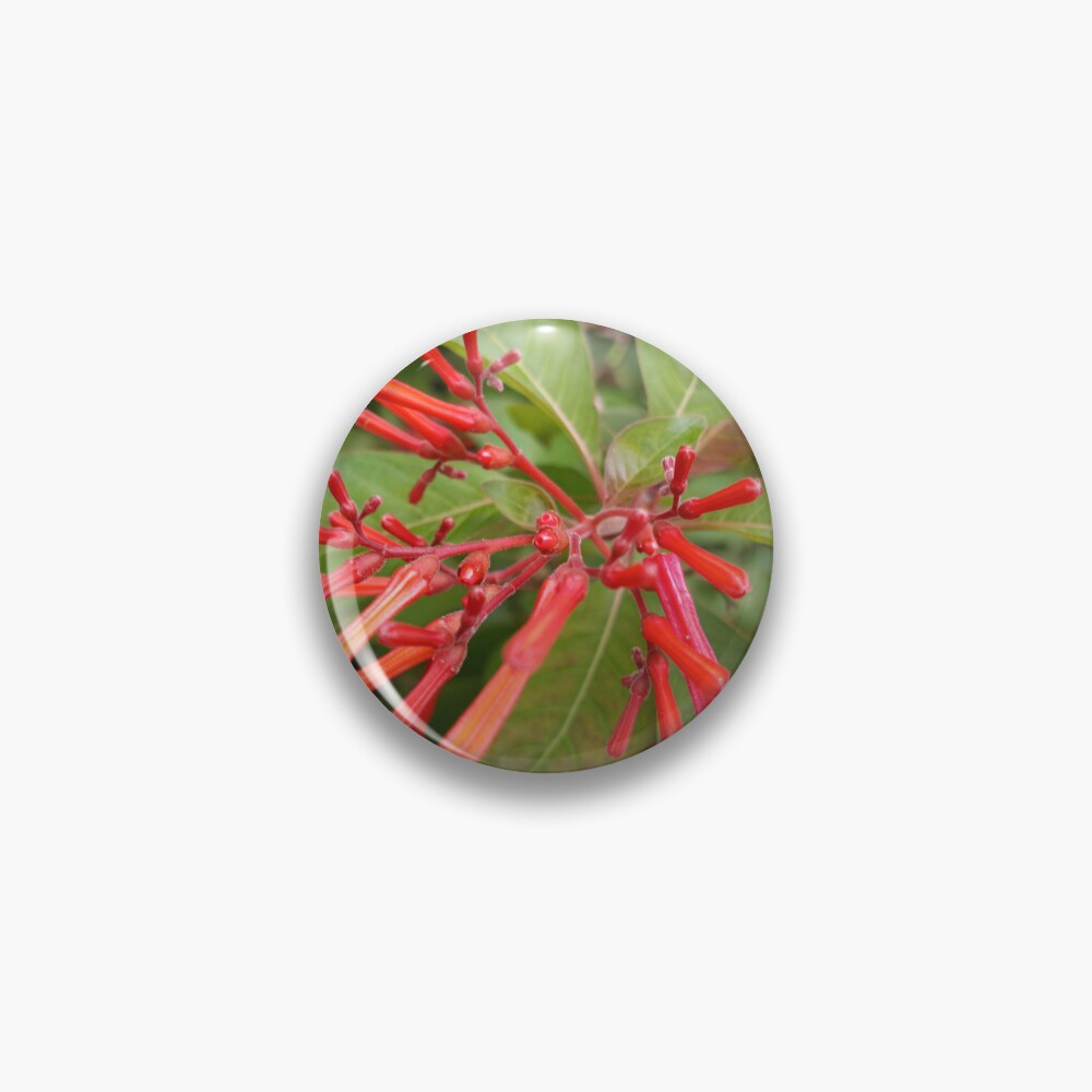 Item preview, Pin designed and sold by RudyYoder.