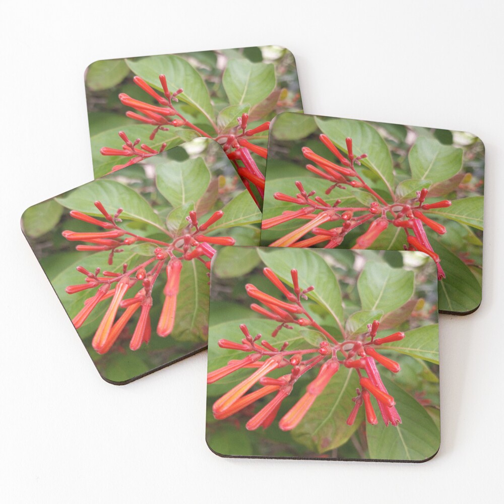 Item preview, Coasters (Set of 4) designed and sold by RudyYoder.