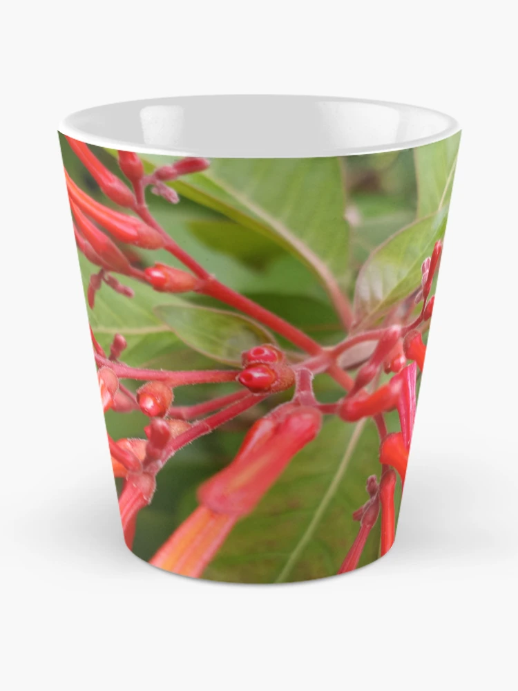 Aperçu 2 sur 4. Mug à café avec l'œuvre Buisson de feu créée et vendue par RudyYoder.