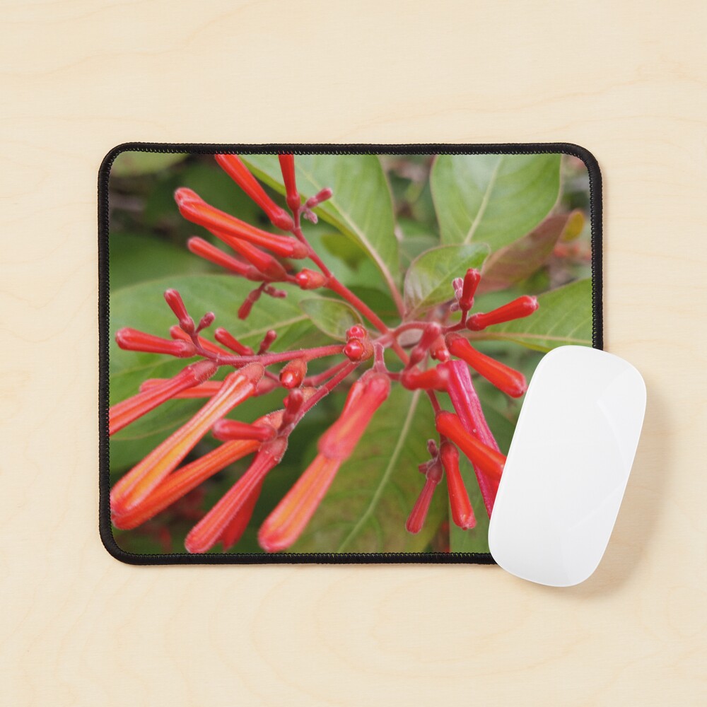 Item preview, Mouse Pad designed and sold by RudyYoder.