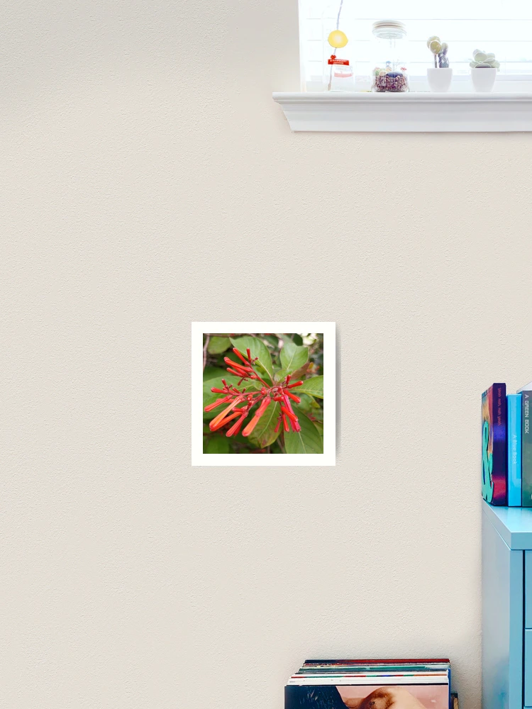 Thumbnail 2 von 3, Kunstdruck, Feuerbusch designt und verkauft von RudyYoder.
