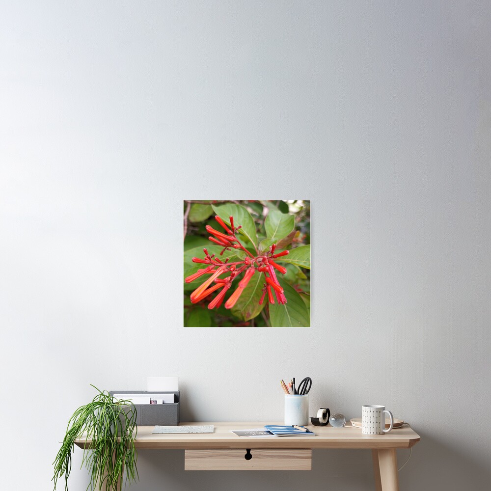 Item preview, Poster designed and sold by RudyYoder.