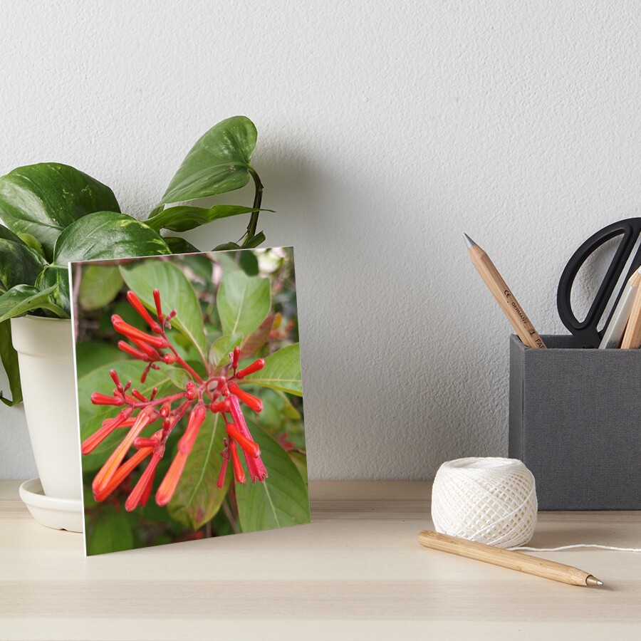 Item preview, Art Board Print designed and sold by RudyYoder.