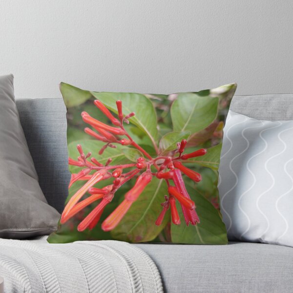 Item preview, Firebush designed and sold by RudyYoder.