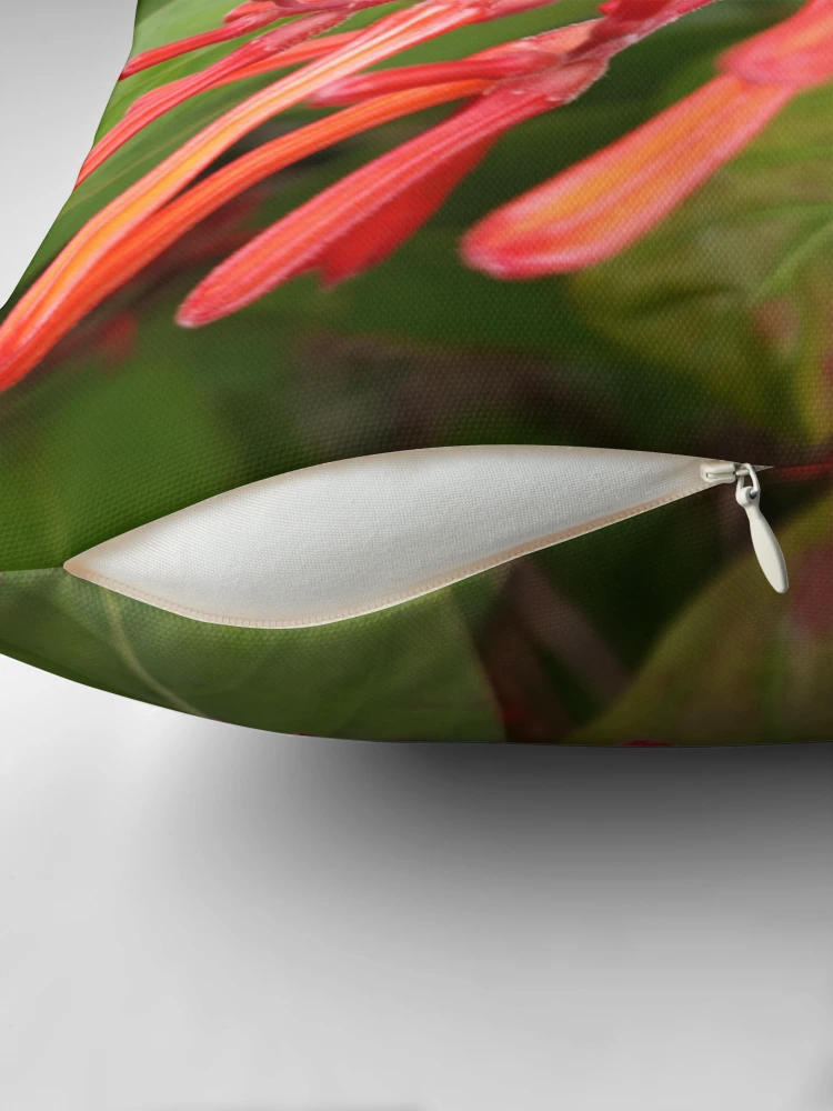 Thumbnail 2 of 4, Pillow, Firebush designed and sold by RudyYoder.