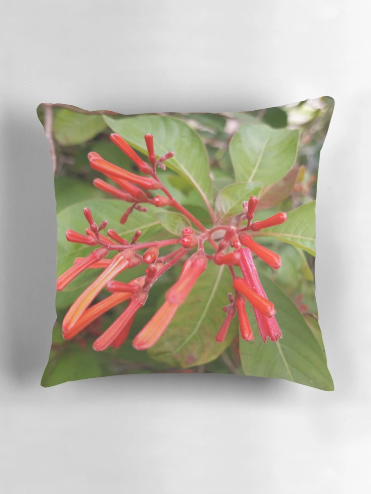 Thumbnail 3 of 4, Pillow, Firebush designed and sold by RudyYoder.
