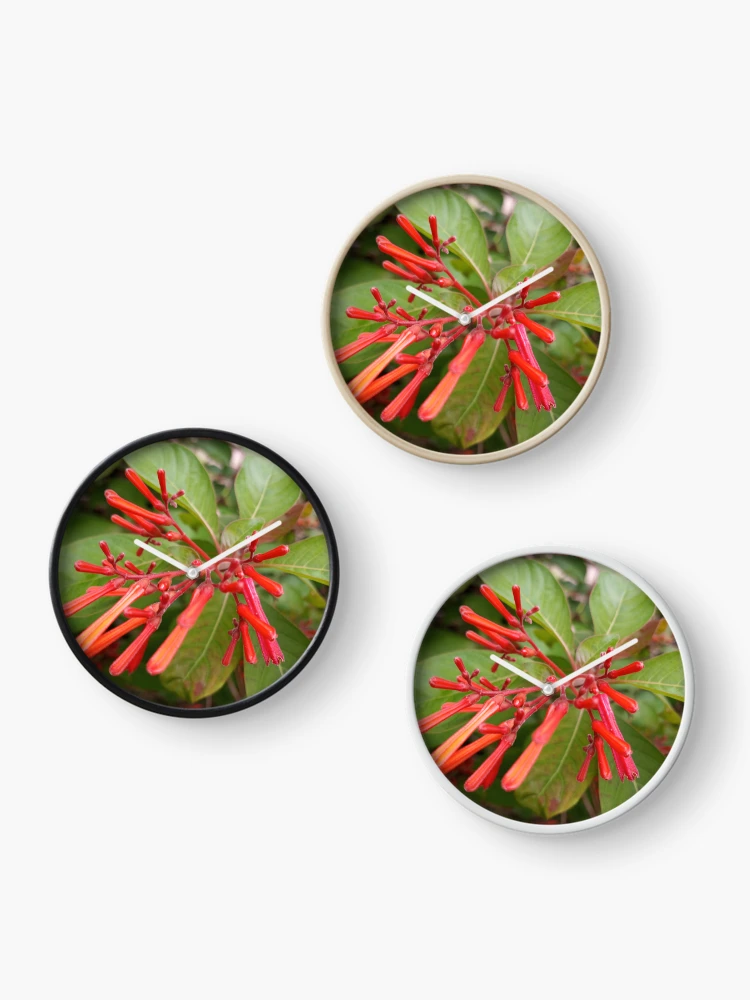 Thumbnail 3 of 4, Clock, Firebush designed and sold by RudyYoder.