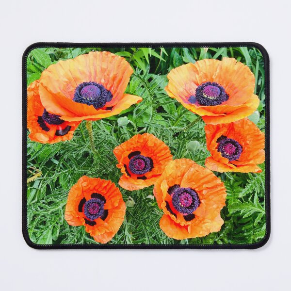 Item preview, Poppy flower in spring | flower lovers designed and sold by NathBros.