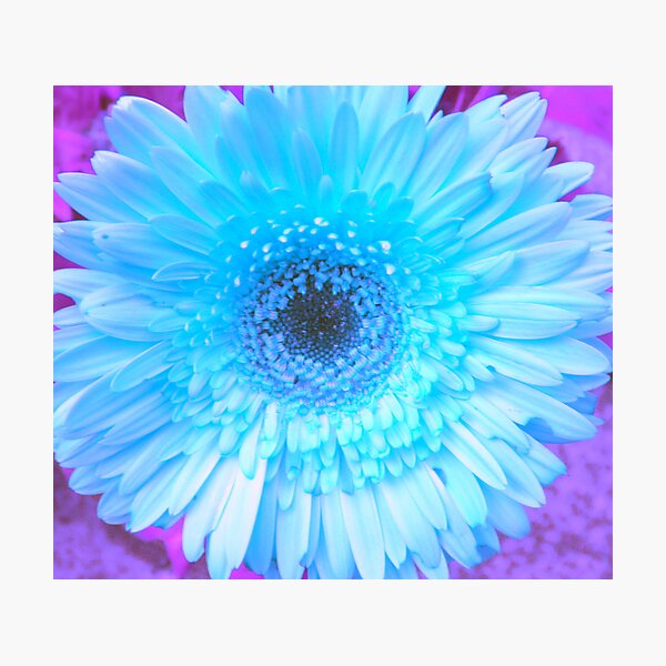 Item preview, electric blue designed and sold by Amanda le Bas de Plumetot.