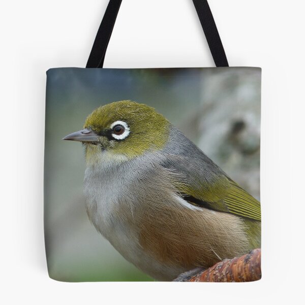 Item preview, Handsome is the word! - Silvereye - NZ - Southland designed and sold by AndreaEL.