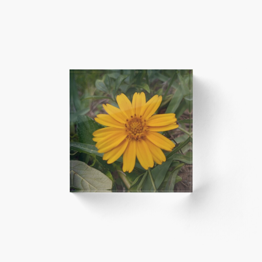 Item preview, Acrylic Block designed and sold by RudyYoder.