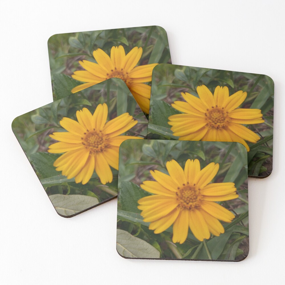 Item preview, Coasters (Set of 4) designed and sold by RudyYoder.