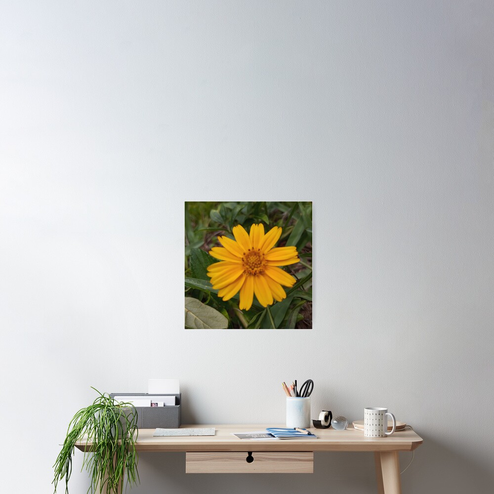Item preview, Poster designed and sold by RudyYoder.