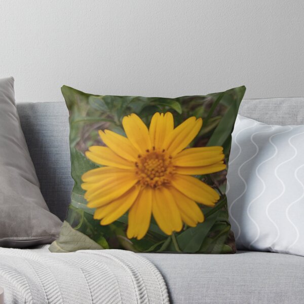 Item preview, Sphagneticola Trilobata designed and sold by RudyYoder.