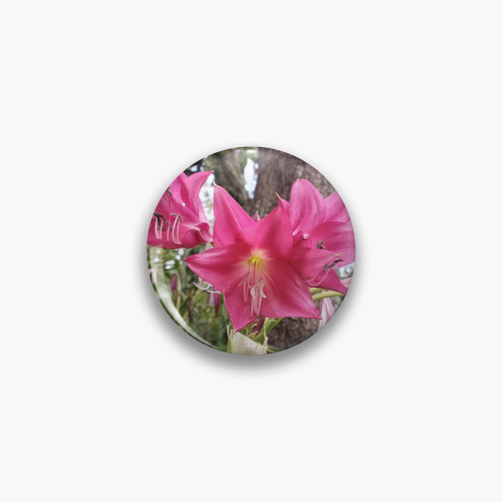 Item preview, Pin designed and sold by RudyYoder.