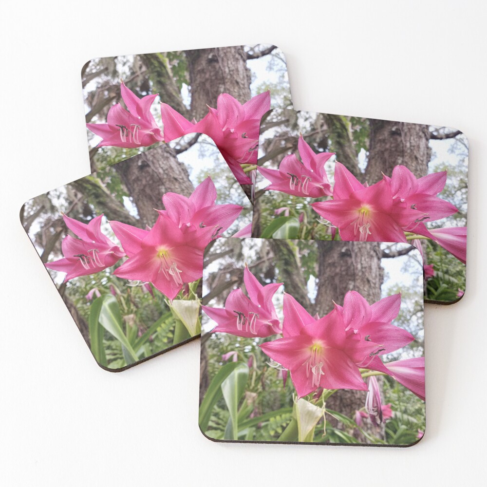 Item preview, Coasters (Set of 4) designed and sold by RudyYoder.