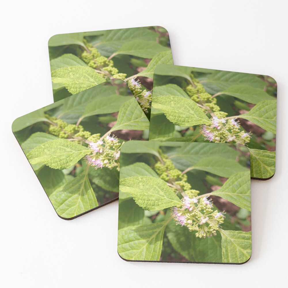 Item preview, Coasters (Set of 4) designed and sold by RudyYoder.