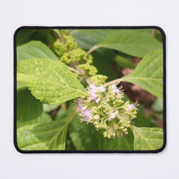 Item preview, Callicarpa Formosana designed and sold by RudyYoder.