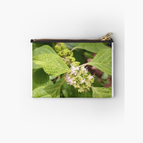 Artikelvorschau, Callicarpa Formosana entworfen und verkauft von RudyYoder.