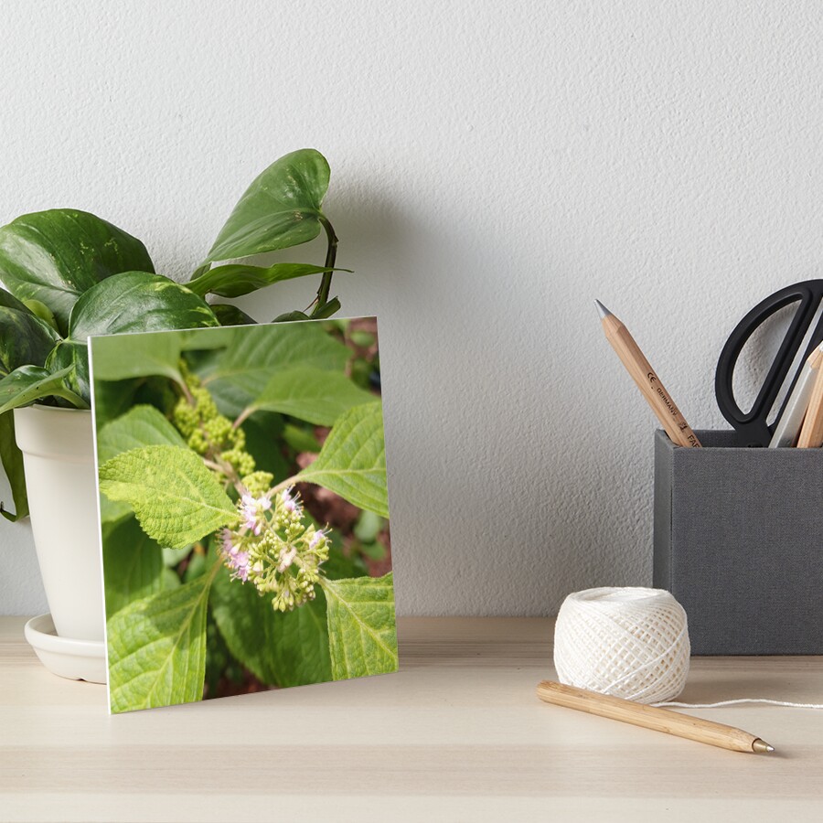 Item preview, Art Board Print designed and sold by RudyYoder.