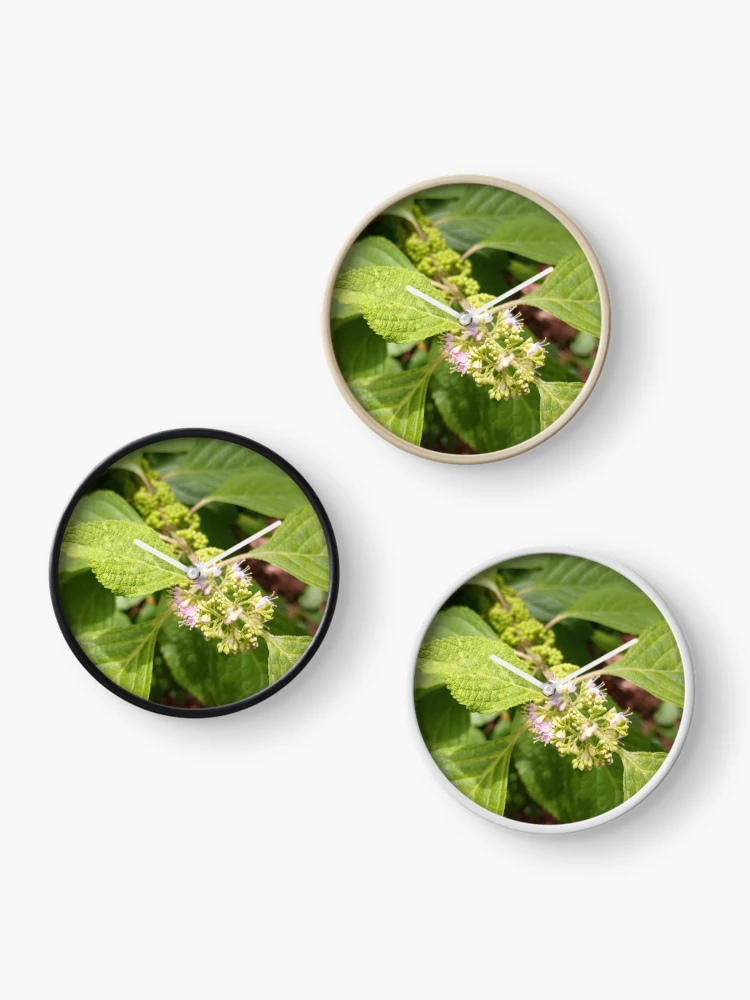 Thumbnail 3 of 4, Clock, Callicarpa Formosana designed and sold by RudyYoder.