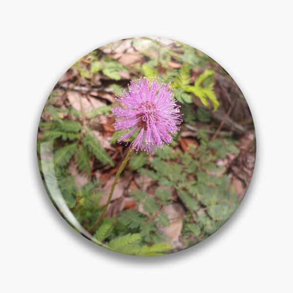 Item preview, Mimosa Strigillosa designed and sold by RudyYoder.