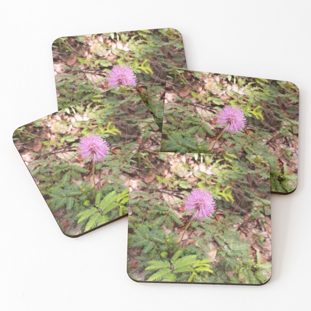 Item preview, Coasters (Set of 4) designed and sold by RudyYoder.