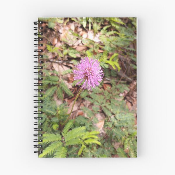 Item preview, Mimosa Strigillosa designed and sold by RudyYoder.