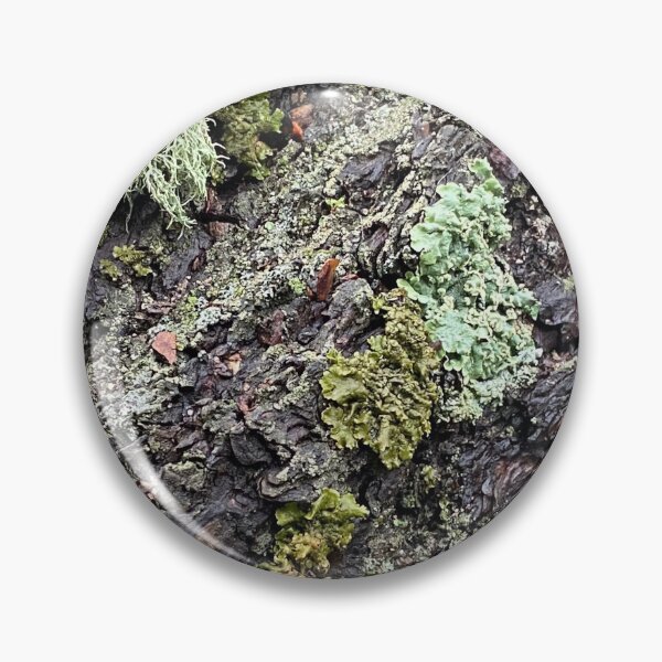 Item preview, Pine Tree Lichens and Moss, Colorado by Mark Ewing designed and sold by LifeSpice.