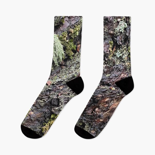 Item preview, Pine Tree Lichens and Moss, Colorado by Mark Ewing designed and sold by LifeSpice.