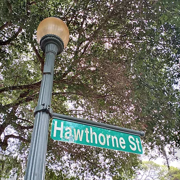 Artwork thumbnail, Hawthorne Street by RudyYoder