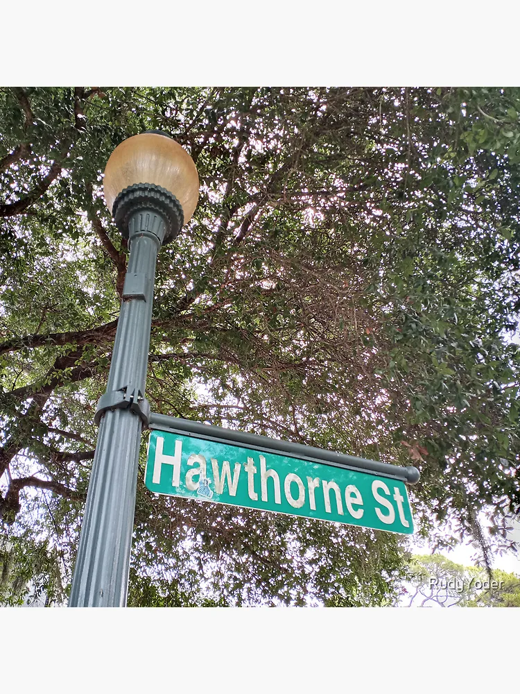 Thumbnail 4 of 4, Clock, Hawthorne Street designed and sold by RudyYoder.
