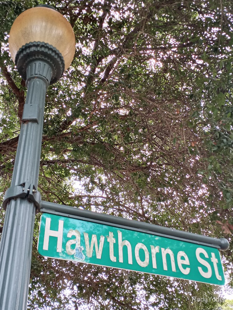 Thumbnail 4 of 4, iPhone Case, Hawthorne Street designed and sold by RudyYoder.