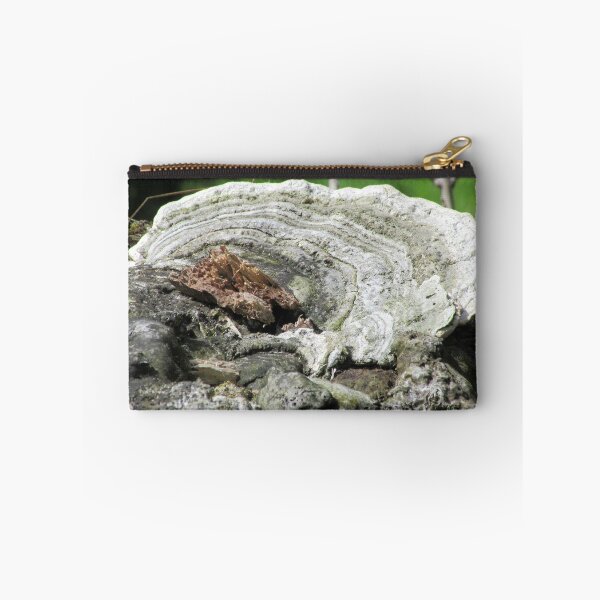 Item preview, Bracket Fungi designed and sold by lezvee.