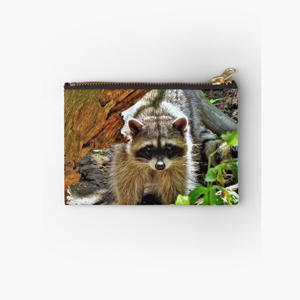 Item preview, Raccoon 2 - Washington State designed and sold by jtrommer.