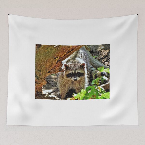 Item preview, Raccoon 2 - Washington State designed and sold by jtrommer.