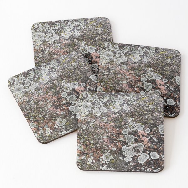 Item preview, Colorado Mountain Rock Lichens by Mark Ewing designed and sold by LifeSpice.