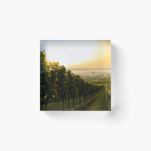 Item preview, Wine Vineyard, Countryside  designed and sold by newburyboutique.