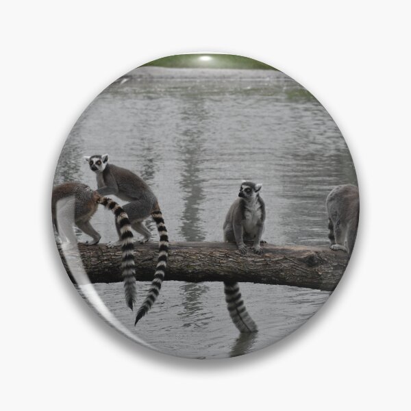Item preview, Lemurs designed and sold by FloridaKeys1984.