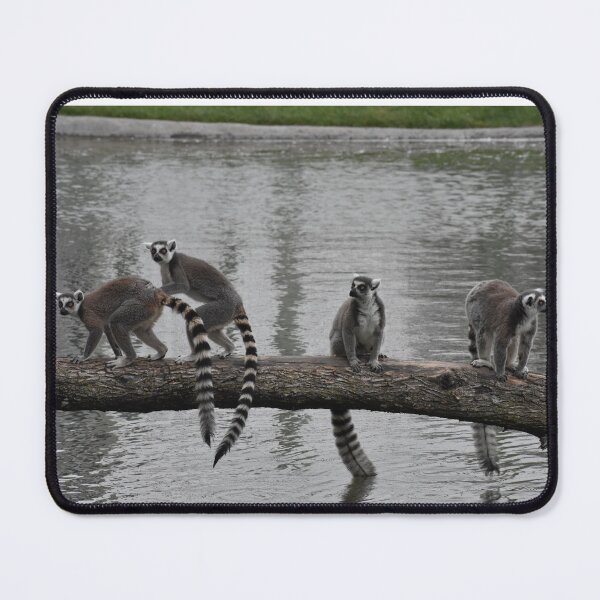 Item preview, Lemurs designed and sold by FloridaKeys1984.