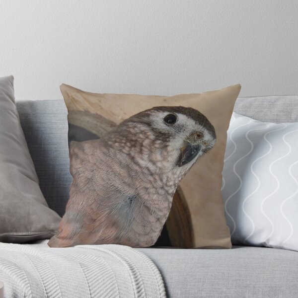 Item preview, Hey! We're hatching babies! - Bourke - NZ - Southland designed and sold by AndreaEL.