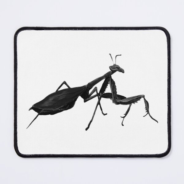 Item preview, Monotone preying mantis designed and sold by dawnduthie.