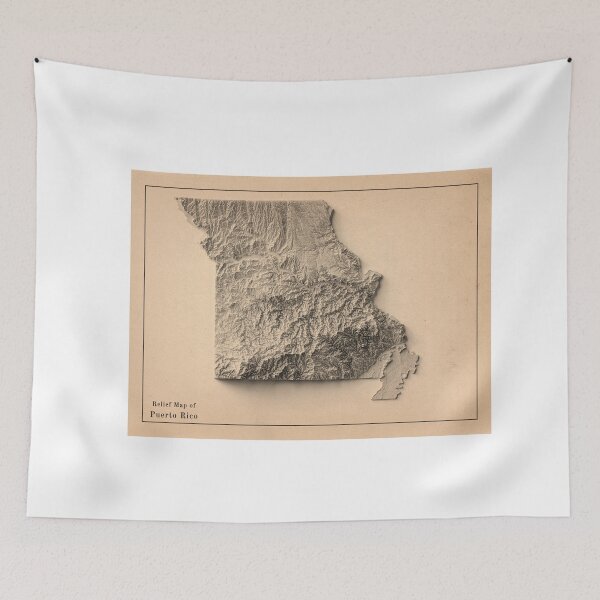 Item preview, Missouri, USA Relief Map 3D digitally-rendered designed and sold by ThinkAboutMaps.